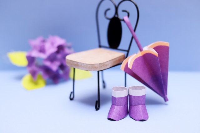 ネットで検索する猫